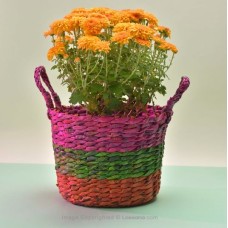 DITTO DARK ORANGE MULTIFLORA CHRYSANTHEMUM IN A BASKET (21 CM)