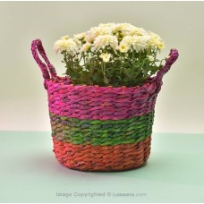 OFF WHITE MULTIFLORA CHRYSANTHEMUM IN A BASKET (21 CM)