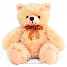 BROWN TEDDY BEAR 12