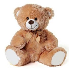 Gentle Teddy Bear