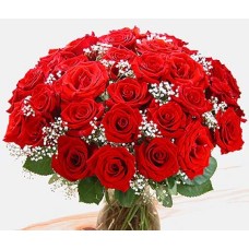 2 Dozen Red Roses In Vase