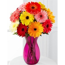Multicolor Gerbera In Vase