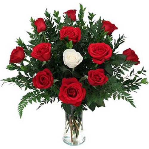 Red Rose With One White Rose In Vase