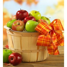 Fruit Basket -24