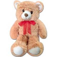 (17) Teddy Bear Medium