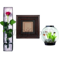 Red Rose W/ Aquarium & Frame