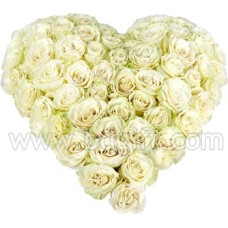 (004) Heart Shaped White Roses W/100 Roses