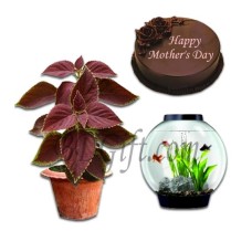 Cake W/ Aquarium & Plant