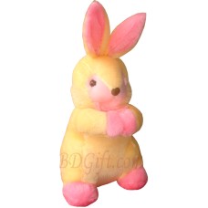(02) Rabbit