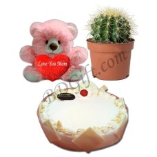 (0001) Cake W/ Live Cactus & Bear