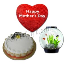 Cake W/ Aquarium & Pillow