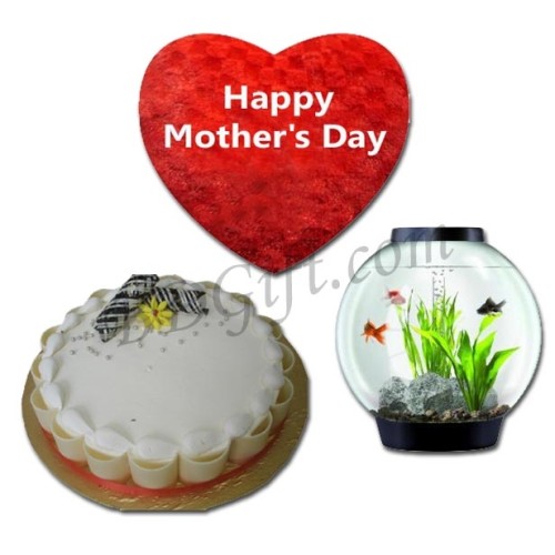 Cake W/ Aquarium & Pillow