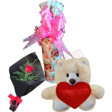 (44) Bottle message with bear and red rose