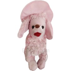 Cute Dog