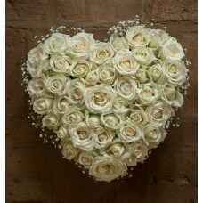 Wintry Whites