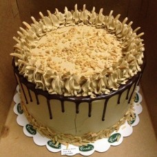 Mini Viennese Mocha Torte