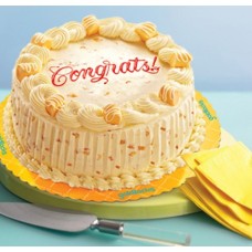Mango Chantilly Cake-1 (8" X 12")