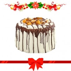 Mango Bravo by Contis (Mini)