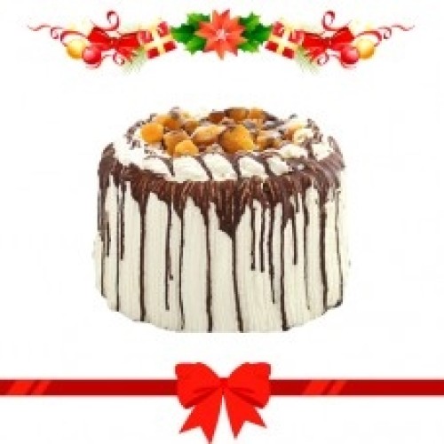 Mango Bravo by Contis (Mini)