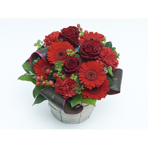 Rosa(Arrangement)