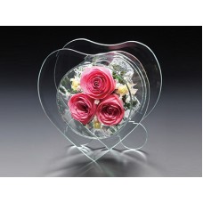 Fairyheart (Fairyheart (Pink))