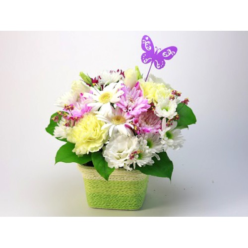 Flower garden