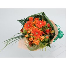 Vivit Orange (Medium)