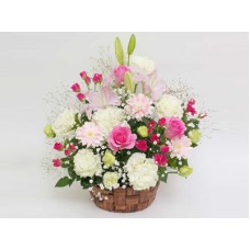 Offering Arrangement