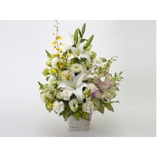 Offering Arrangement.. Seifu