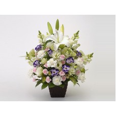 Offering Arrangement Unkai