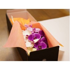 Midi Phalaenopsis Bouquet