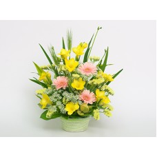 Sandy(Arrangement)