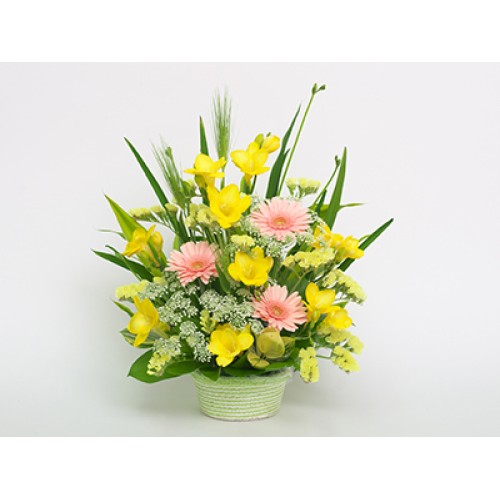 Sandy(Arrangement)