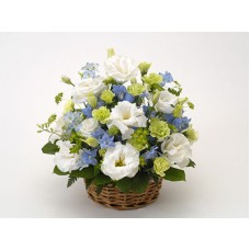 Offering Arrangement