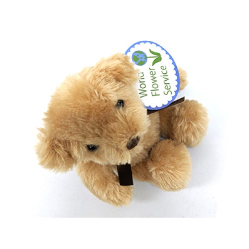 Teddy Bear