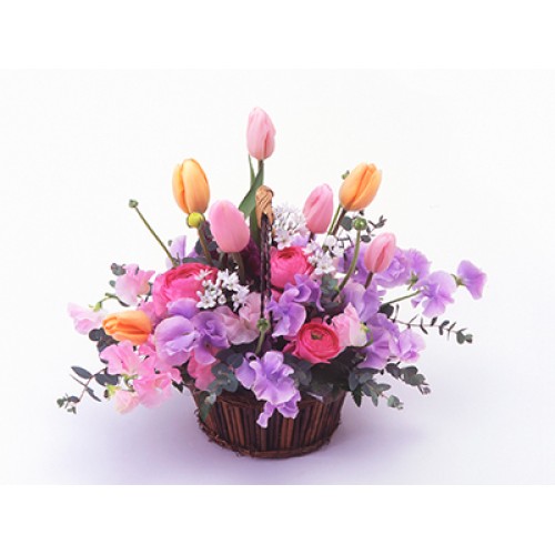 Balloon Tulip(Arrangement)