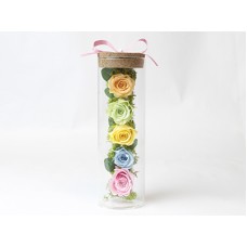 Glass Rose(Preserved Flower)