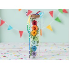 Rainbow Smile(Preserved Flower)