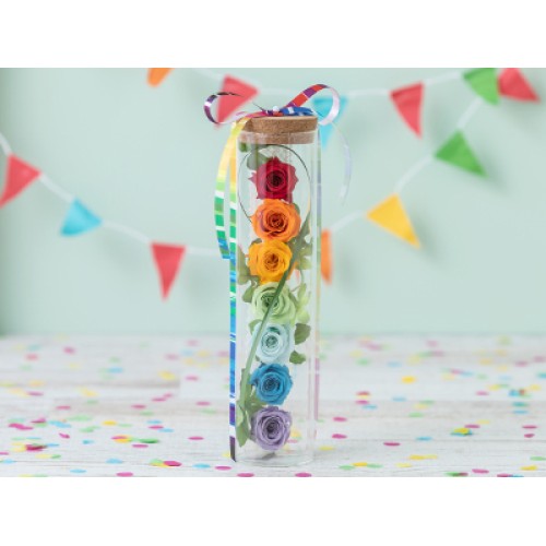 Rainbow Smile(Preserved Flower)