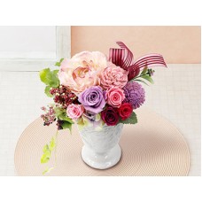 Viole Pearl(Preserved Flower)