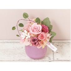 Chouette pink(Preserved Flower)