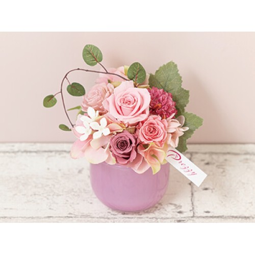 Chouette pink(Preserved Flower)