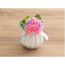 Manon mix(Preserved Flower)