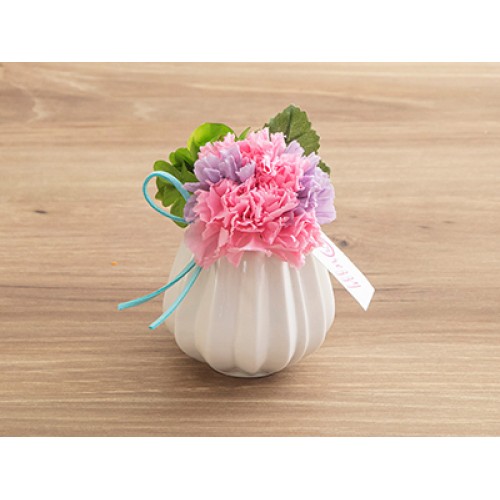 Manon mix(Preserved Flower)