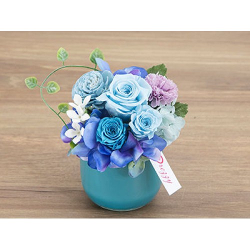 Chouette blue(Preserved Flower)