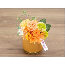 Chouette orange(Preserved Flower)
