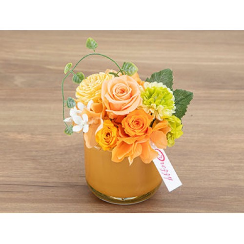 Chouette orange(Preserved Flower)