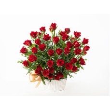 50 Roses Arrangementï Rougeï