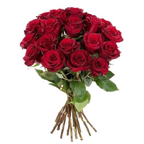 Red Roses in a bunch