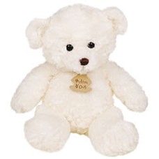Teddy Bear Teddy Bear